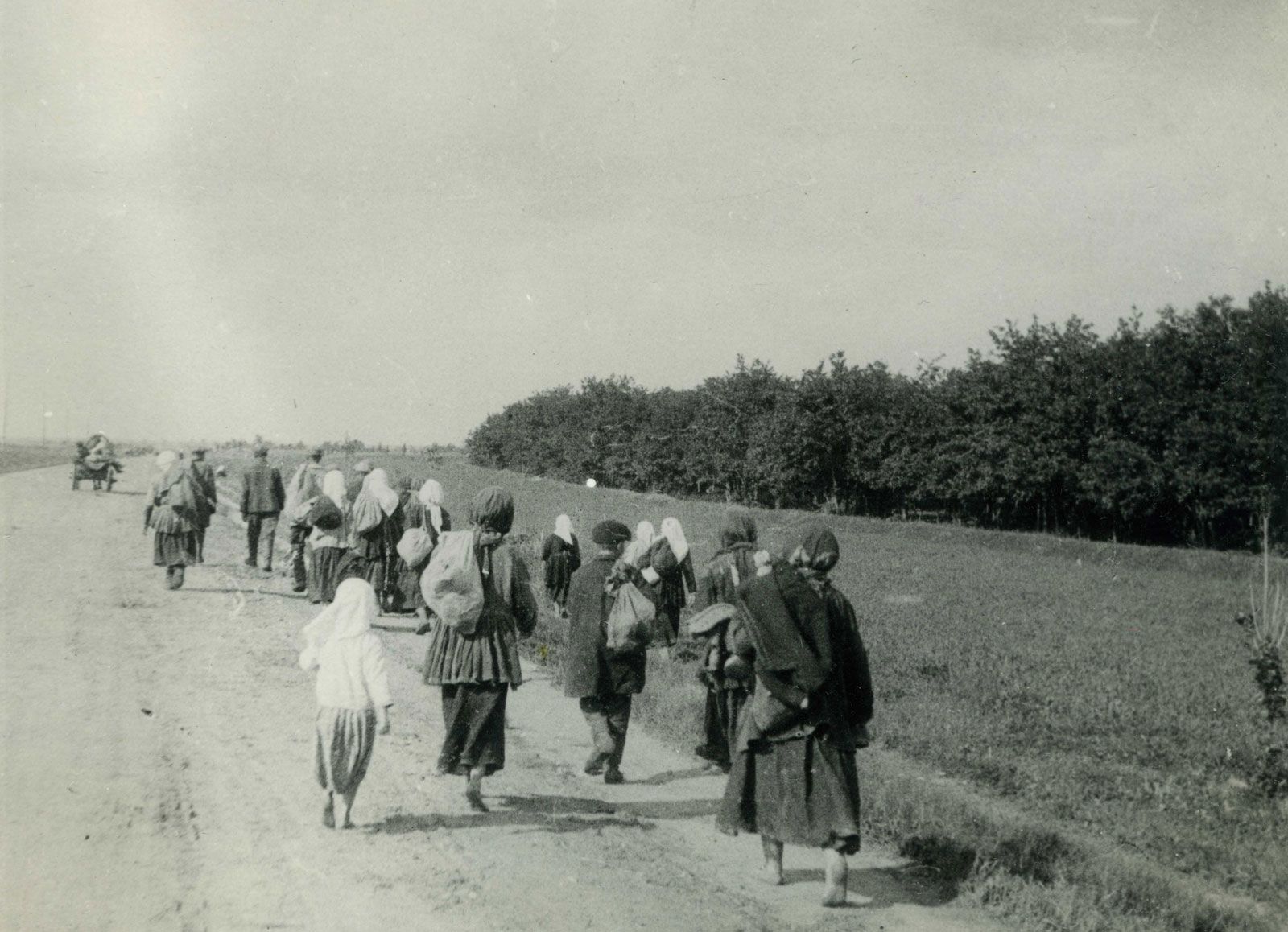 Economie - Oekraïense Boeren